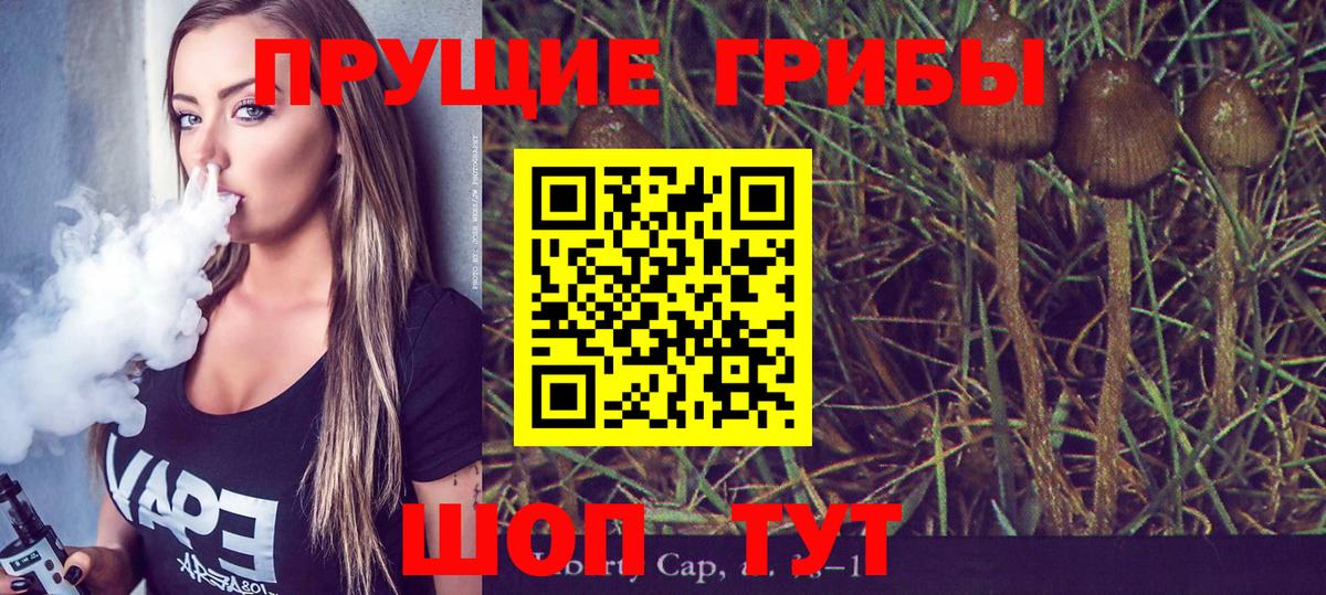 Городец  наркошоп  Вход с VPN  Псилоцибиновые грибы мухоморы 